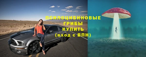 ешки Кодинск