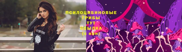 таблы Козельск
