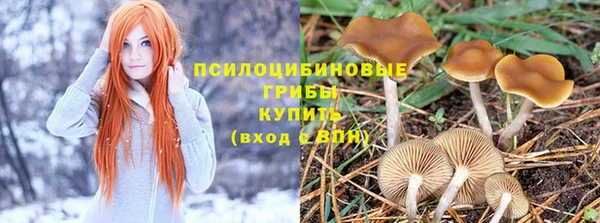гашишное масло Козловка