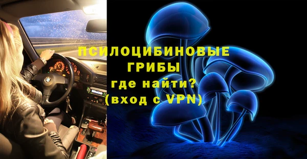 ешки Кодинск
