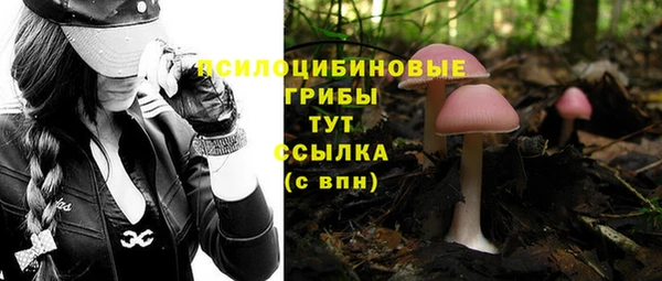 ешки Кодинск